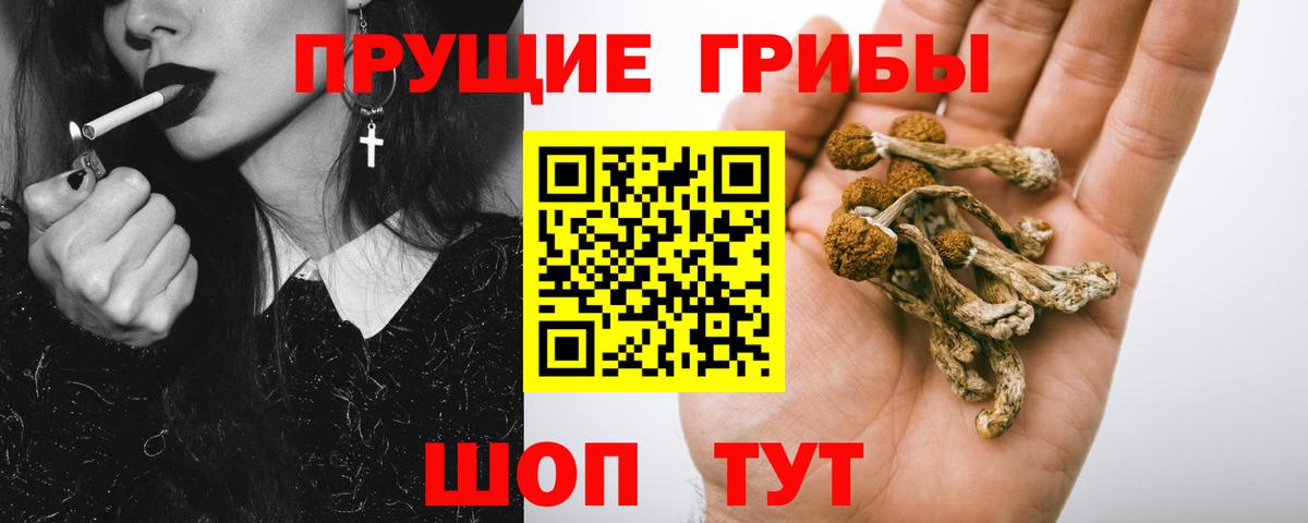 Азов  Галлюциногенные грибы прущие грибы  Вход с VPN 